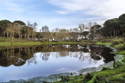 Reflection of trees in lake against sky