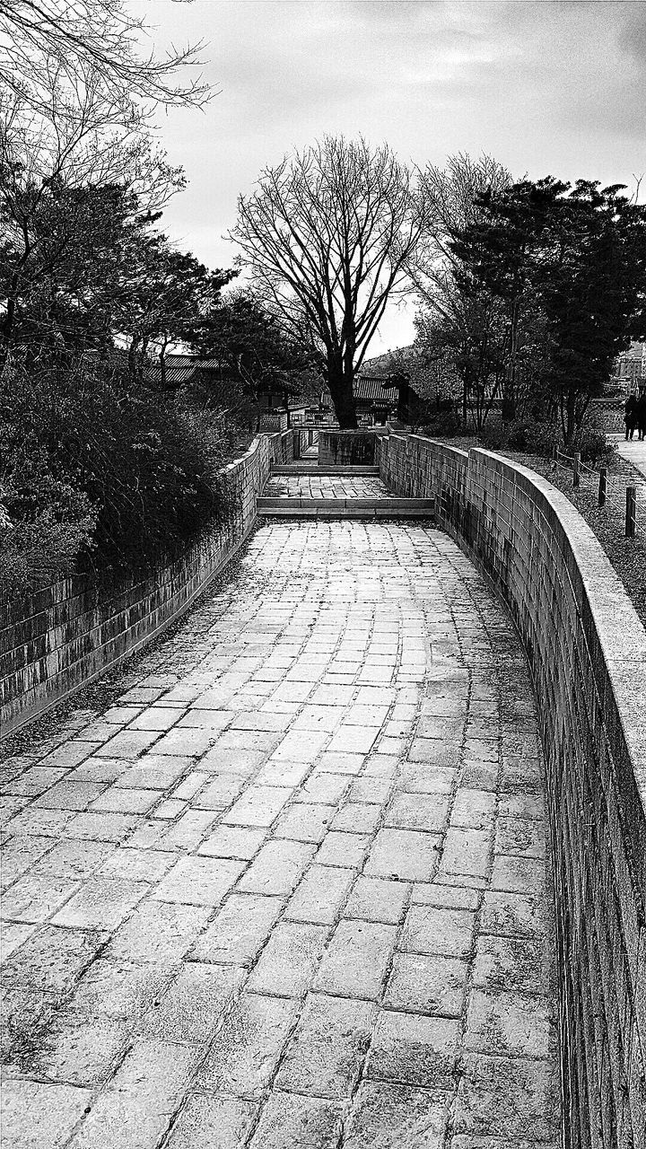 the way forward, tree, built structure, diminishing perspective, architecture, sky, vanishing point, sunlight, cobblestone, footpath, no people, shadow, building exterior, bare tree, day, outdoors, walkway, wall - building feature, tranquility, empty