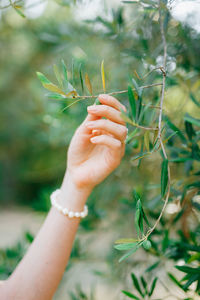 Close-up of hand holding plant