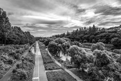 Panoramic view of trees on landscape against sky