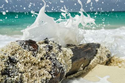 Close-up of water splashing on log