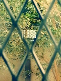 Close-up of chainlink fence