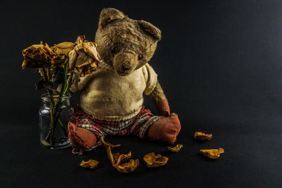 Close-up of stuffed toy against black background