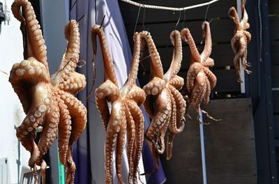 Close-up of octopus for sale at market stall
