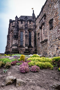 Low angle view of flowering plant against building