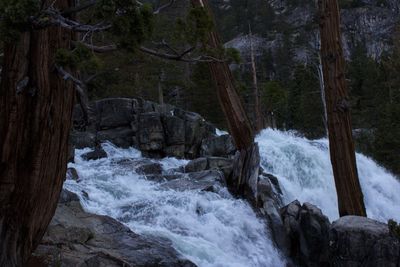 Scenic view of waterfall in forest