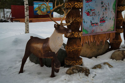 snow