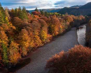 Autumn colours on the river garry near pitlochry in the scottish highlands