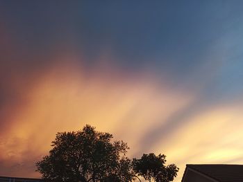 Low angle view of silhouette tree against sky during sunset