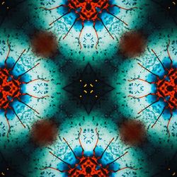 Directly below shot of abstract pattern