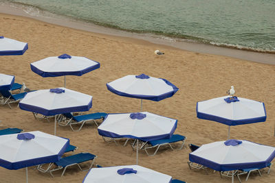 People with umbrella at beach
