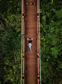 Directly above portrait of woman lying on footbridge over trees in forest