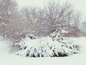 Scenic view of snow covered landscape