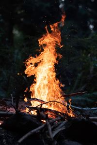 Bonfire on field at night