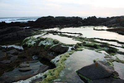 Scenic view of rocky beach