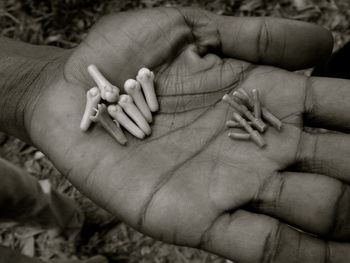 Close-up of baby hands