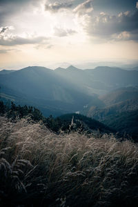 Scenic view of landscape against sky during sunset