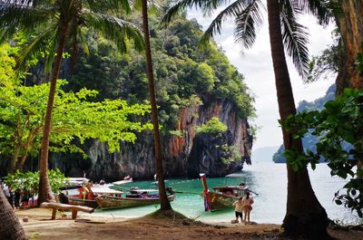 People sitting on tree trunk