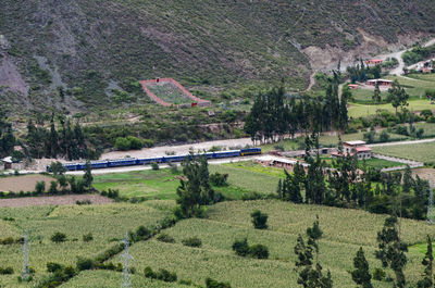 Scenic view of agricultural field