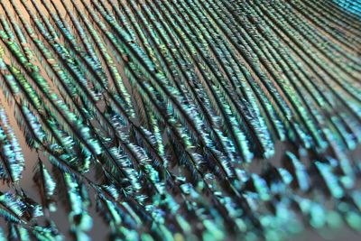 Full frame shot of pattern