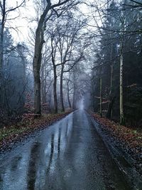 Road amidst trees in forest during rainy season