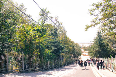 People walking on footpath