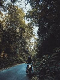 Rear view of man riding bicycle on road in forest