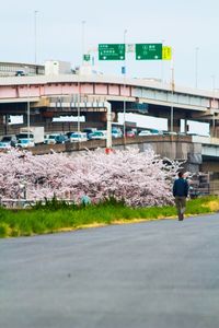 People walking on footpath by road