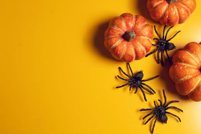 High angle view of fruit on table