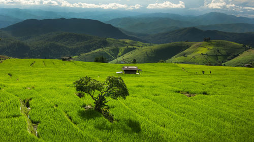 Scenic view of agricultural field and mountains