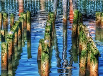 Close-up of wooden posts in lake