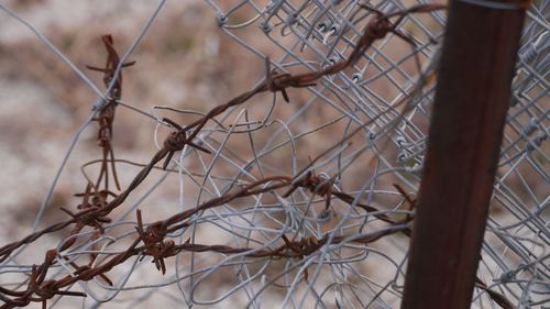 Close-up of barbed wire fence