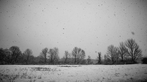 Trees on field against clear sky during winter