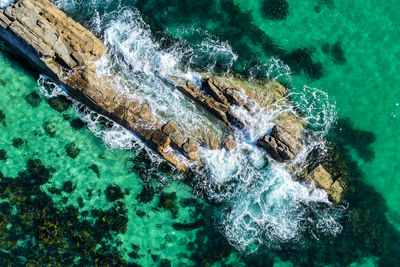 High angle view of man swimming in sea