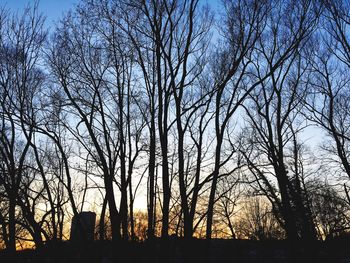 Low angle view of silhouette bare trees against sky