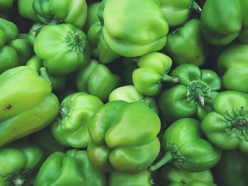 Full frame shot of green tomatoes for sale in market