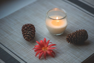 High angle view of flower with pine cones and candle on fabric