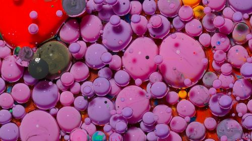 Full frame shot of multi colored balloons