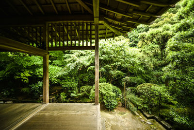 Plants and trees in park