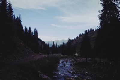 Panoramic view of land and trees against sky