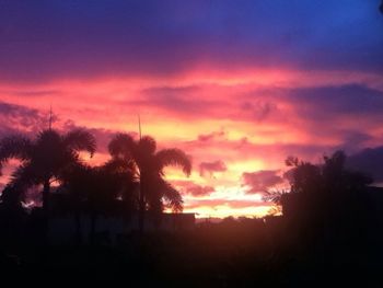 Silhouette of trees at sunset