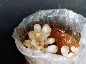 High angle view of bread in container