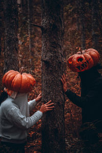 View of pumpkins in forest