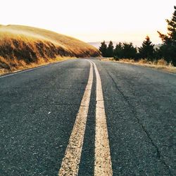 Empty road along trees