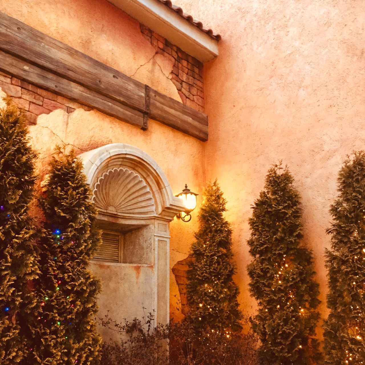 LOW ANGLE VIEW OF ILLUMINATED BUILDING AND TREES