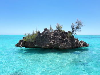 Scenic view of sea against clear sky