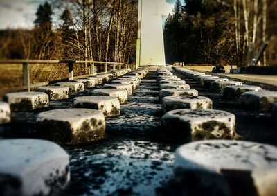 Surface level of rocks