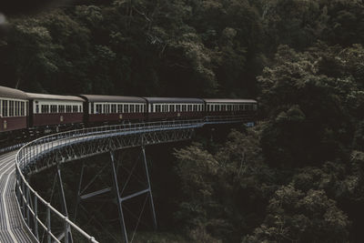 Train on bridge against trees