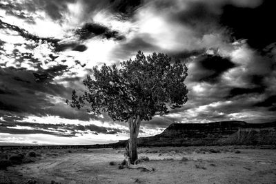 Scenic view of landscape against cloudy sky