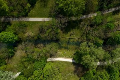 High angle view of lake amidst trees in forest